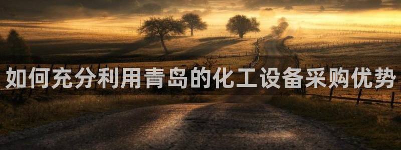 新城平台主管