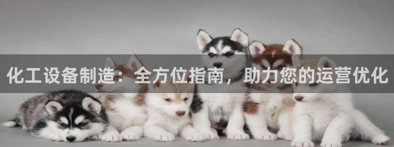 新城平台注册网址是什么