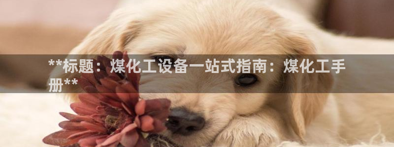 新城平台登录入口官网下载手机版