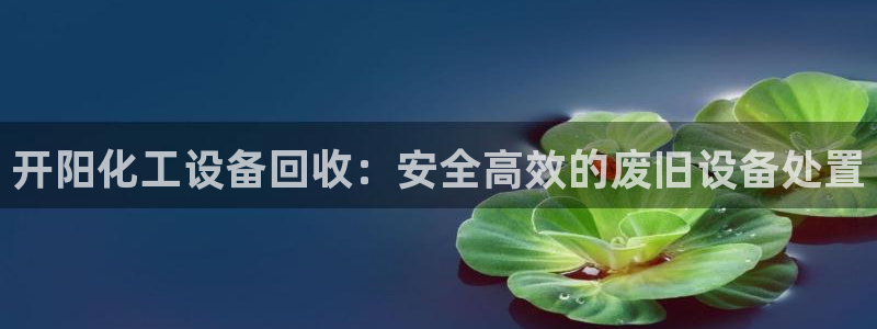 新城平台登录入口官网查询系统