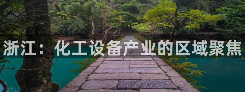 新城平台是干嘛的公司啊