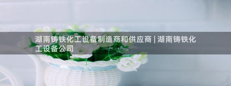 新城平台登录入口官网网址查询