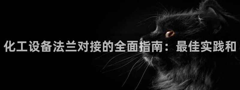 新城平台总代