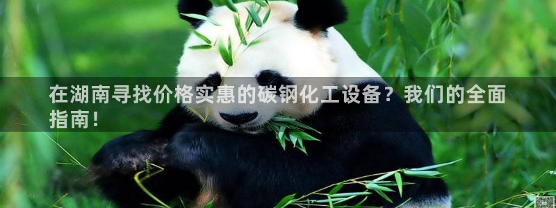新城平台登录入口官网首页下载