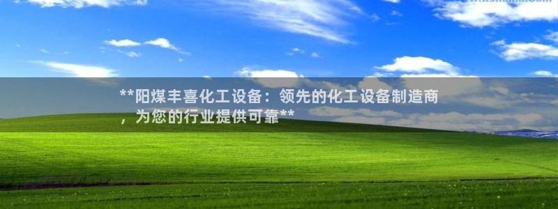 新城平台是干嘛的公司有哪些