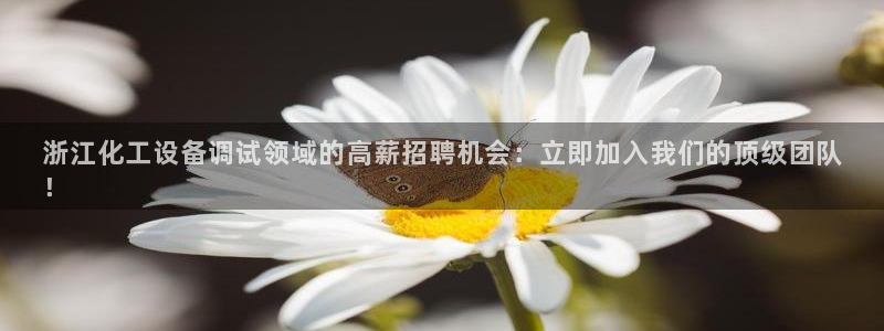 新城平台注册登录地址在哪