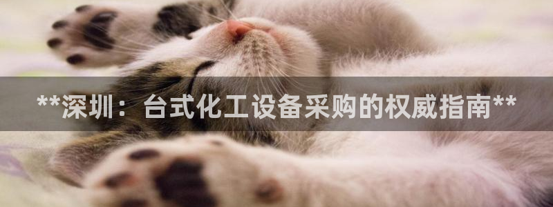 新城平台平台最新活动消息