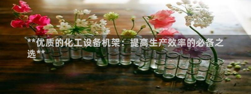 新城平台负责人名单