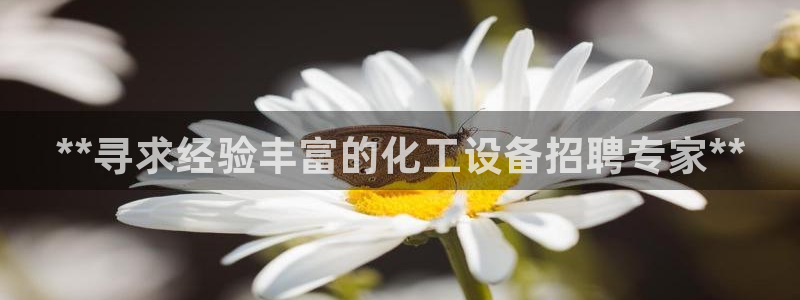 新城平台代理注册条件