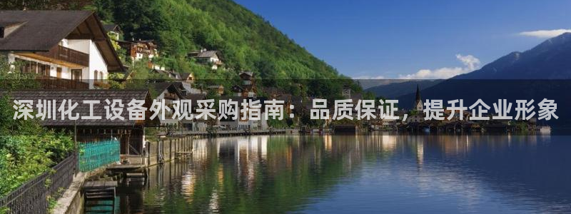 新城平台招商
