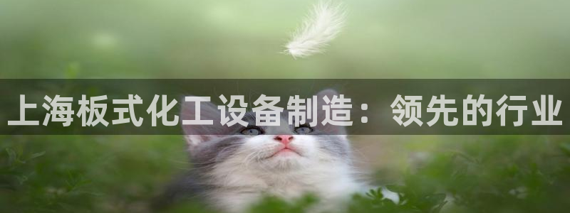 新城平台登录入口官网查询