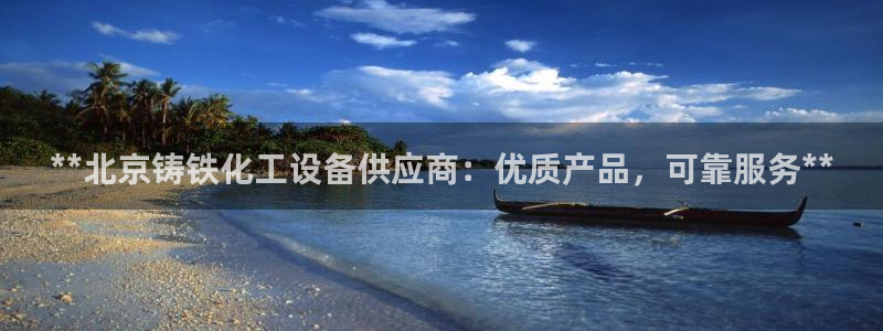 新城平台负责人是谁