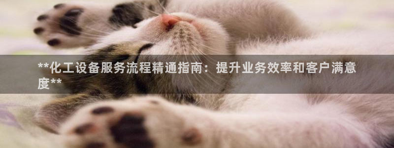 新城平台注册公司流程图