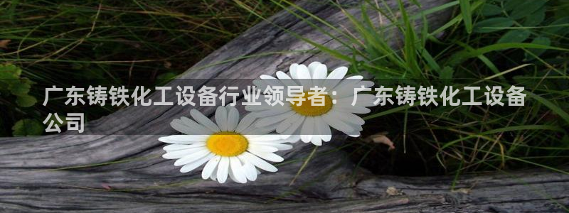 新城平台注册公司流程视频