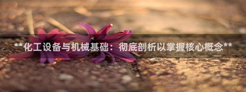 新城平台注册网址