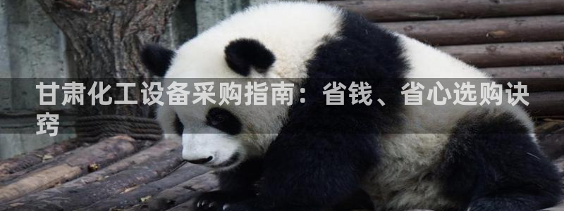 新城平台登录入口