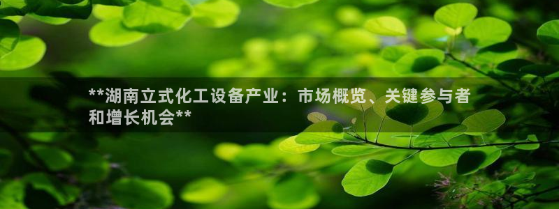 新城平台注册流程图