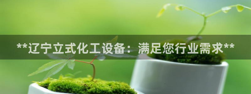 新城平台登录入口官网下载