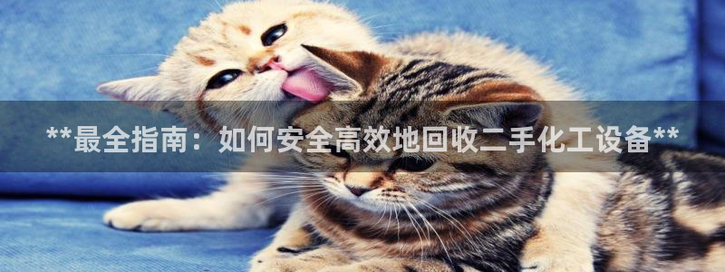 新城平台注册公司流程图