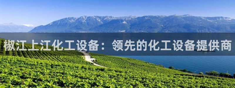 新城平台官网注册入口
