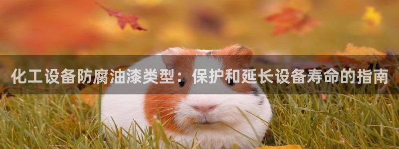 新城平台登录入口官网网址是多少