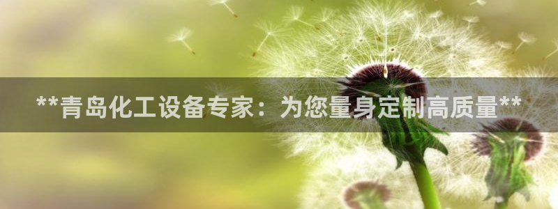 新城平台是干嘛的公司啊