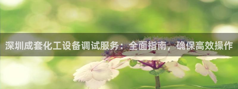 新城平台官网首页网址