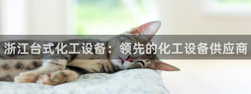 新城平台登陆