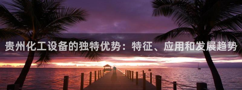 新城平台负责人