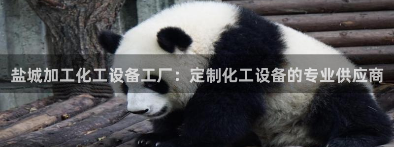新城平台网址