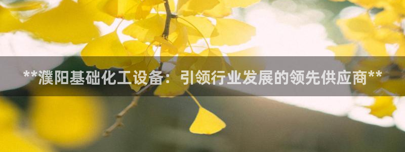新城平台开户