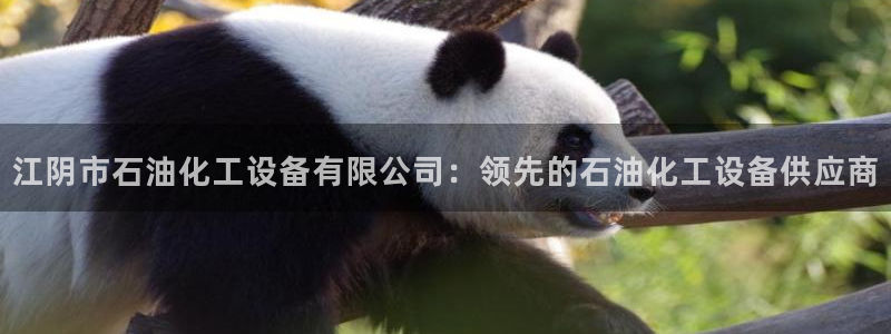 新城平台负责人名单