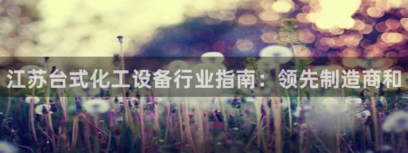 新城平台平台
