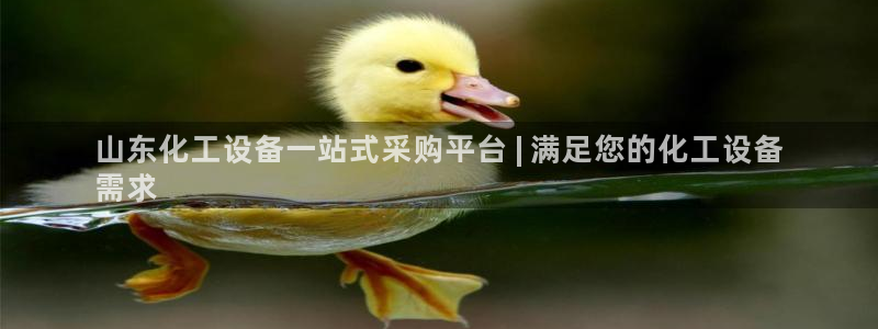 新城平台平台最新活动有哪些