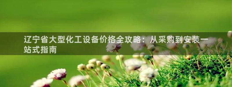 新城平台登录入口网址