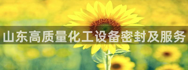 新城平台房7O777