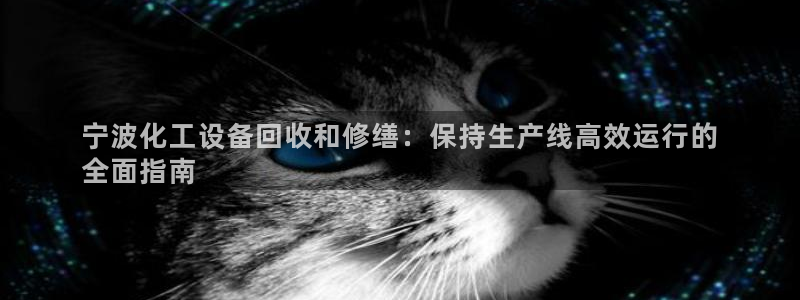 新城平台是干嘛的公司啊