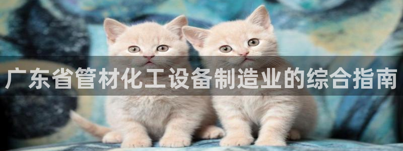 新城平台代理注册公司
