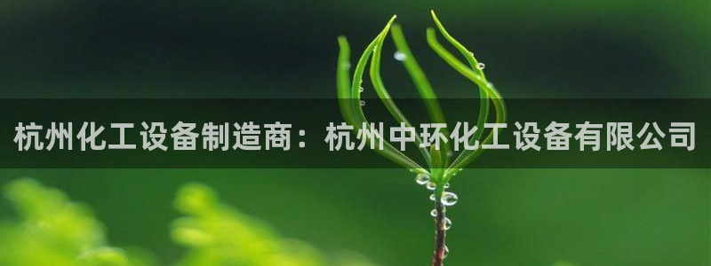 新城平台总代