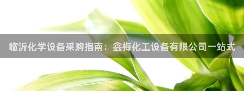 新城平台注册登录地址在哪