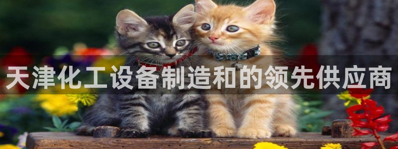 新城平台注册网址是多少