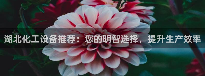 新城平台官网注册