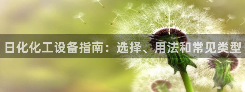 新城平台登录入口官网查询网址