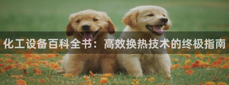 新城平台线路登录不上去怎么办呢