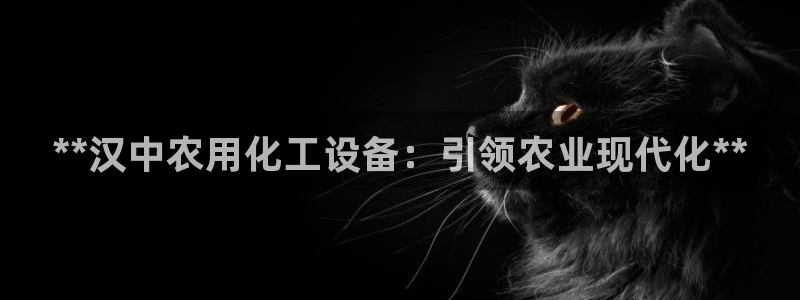 新城平台登录入口网址