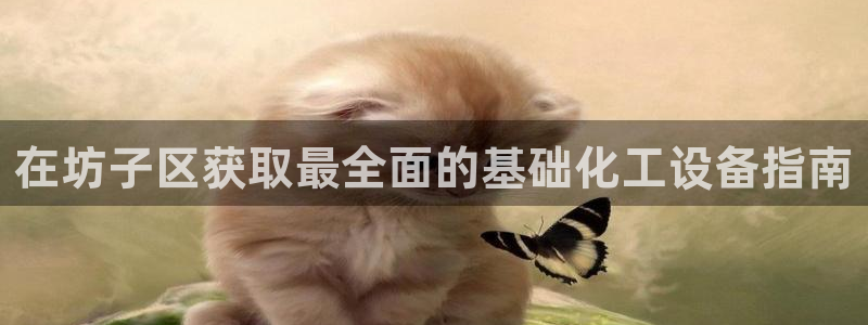 新城平台登录入口官网网址查询