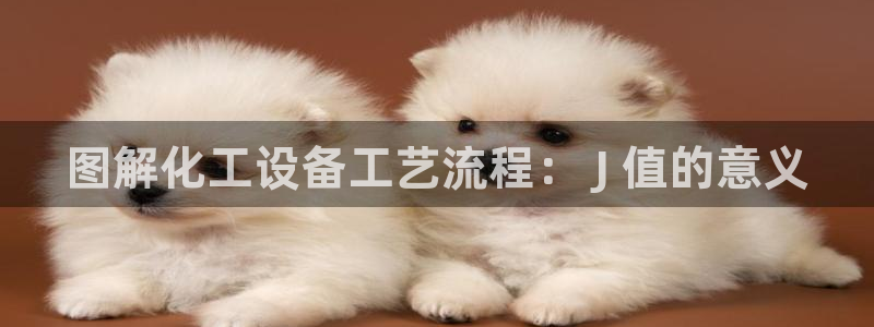 新城平台官网注册流程