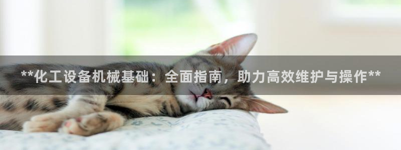 新城平台平台最新活动有哪些：**化工设备机械基础：