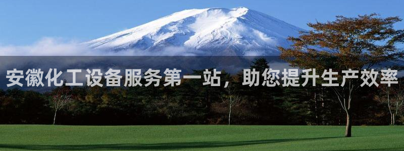 新城平台登录入口官网下载：安徽化工设备服务第一站，