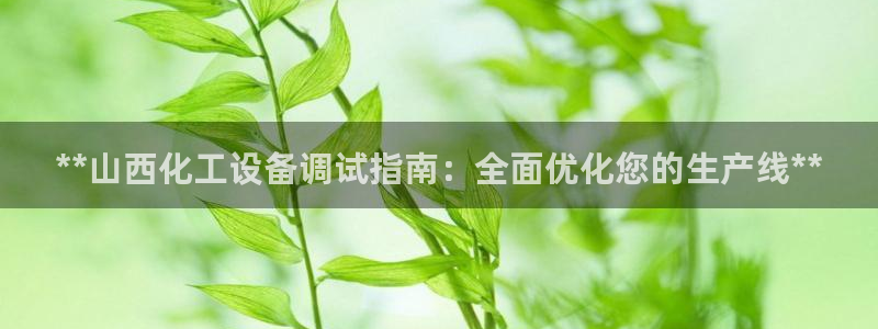 新城平台注册网址